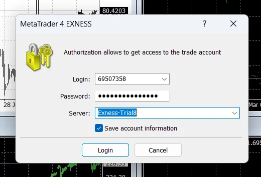 Login to the Exness Demo Account in MetaTrader 4